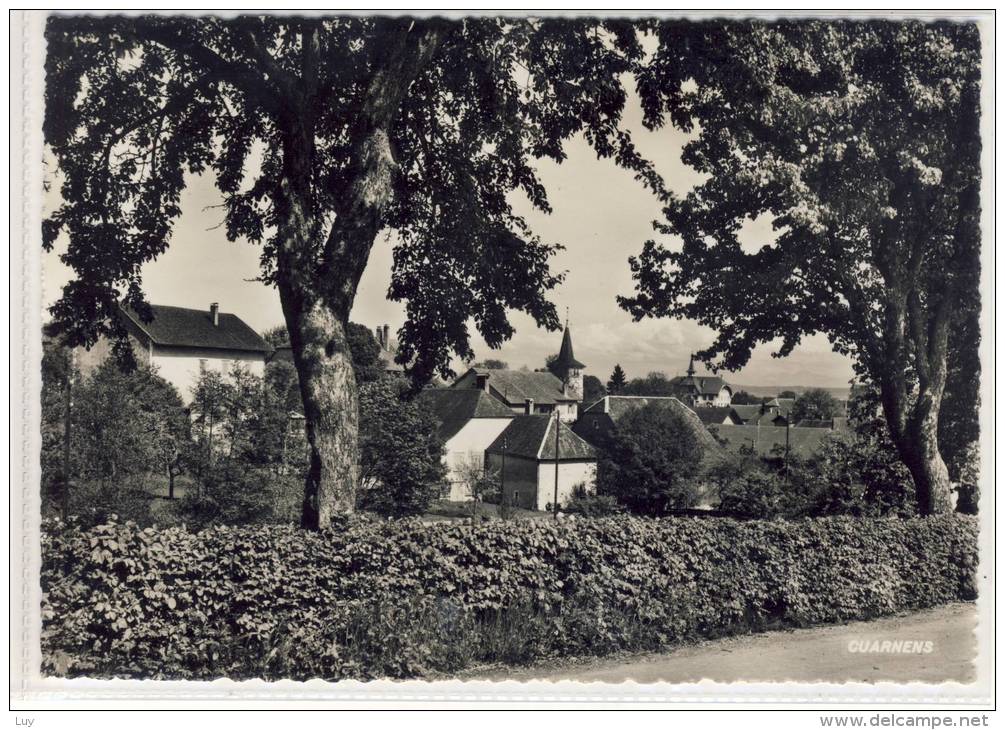 CUARNENS - Panorama ,  1954,  Feldpost Militär - Cuarnens