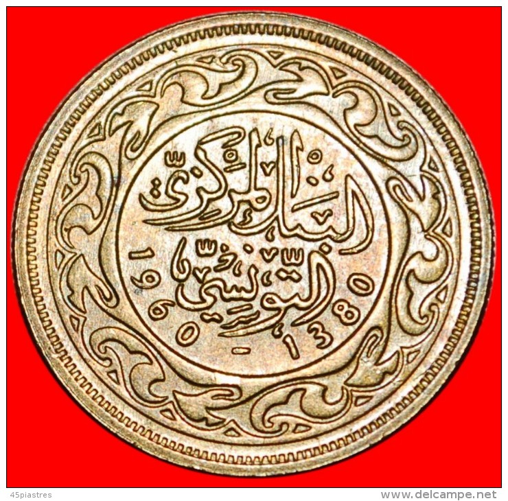 &#9733;MINT LUSTER: TUNISIA &#9733;20 MILLIEM 1380-1960! LOW START &#9733; NO RESERVE! - Túnez