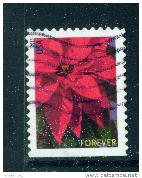 USA  -  2013  Flower  Forever  Large Format  Used As Scan - Used Stamps