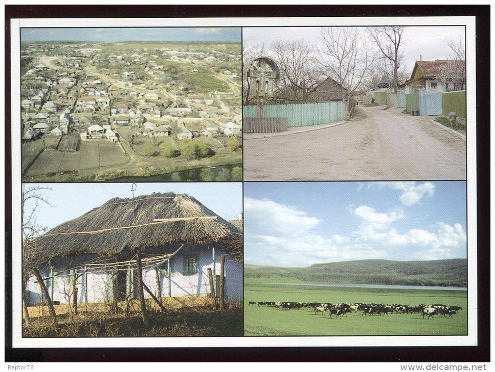 CPM Neuve Moldavie Entre Les Méandres Du Raut Village De Trebujen Village De Cojusna Chaumière Près De Vadul Lui Voda - Moldavie