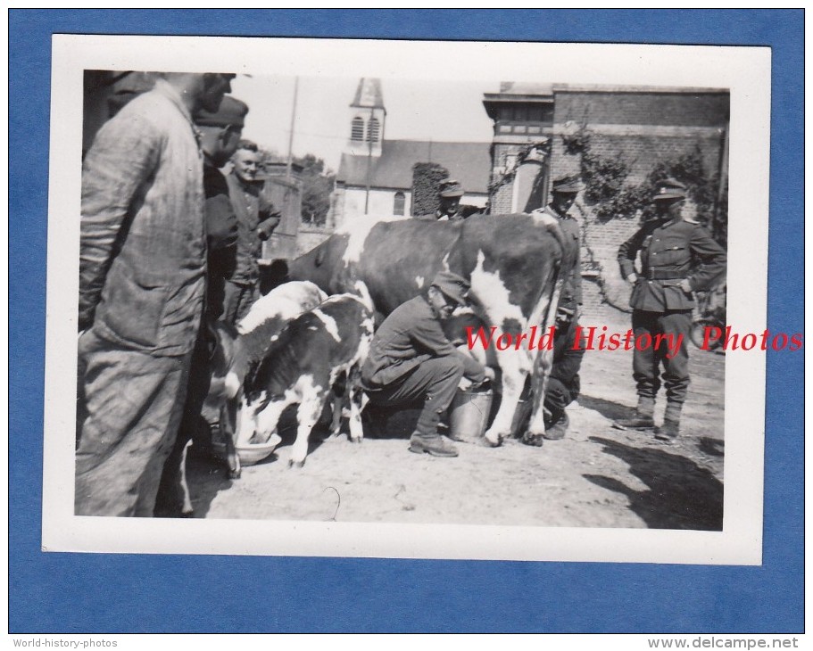 Photo Ancienne - THIERNU ( Aisne ) - Occupation Allemande Du Village - Traite D'une Vache Par Un Soldat - WW2 1940 - Guerre, Militaire