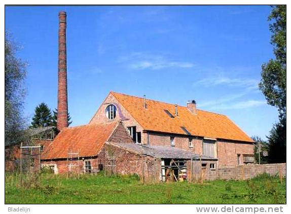 MASSEMEN Bij Wetteren (O.Vl.) - Watermolen / Moulin à Eau - De Gerestaureerde Van Hauwermeirs Molen. Fraaie Opname !! - Wetteren