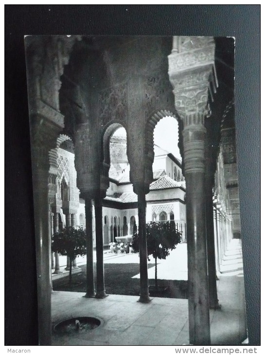 Carte Photo GRENADE Cour Des Lions N°1022. ALHAMBRA ART ARABE. Noir Et Blanc. Circulé En 1960 TRES BON ETAT - Granada