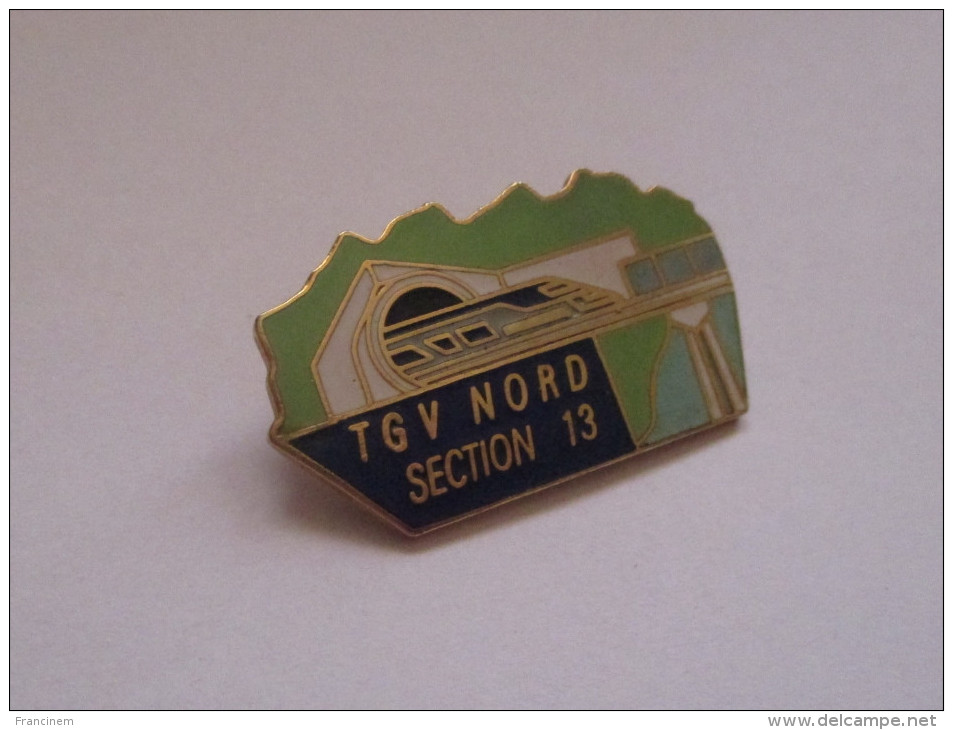 Pin's SNCF / TGV Nord Section 13 (EGF) - TGV