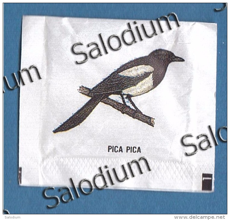 Pica Pica - Uccello Bird -  BUSTINA DI ZUCCHERO VUOTA - Sugar Empty - Sugars