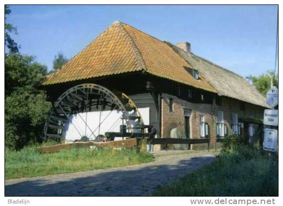 TIELEN Bij Kasterlee (Antw.) - Molen/moulin - De Mooi Gelegen Watermolen Op De Aa. (zomer 2005) - Kasterlee