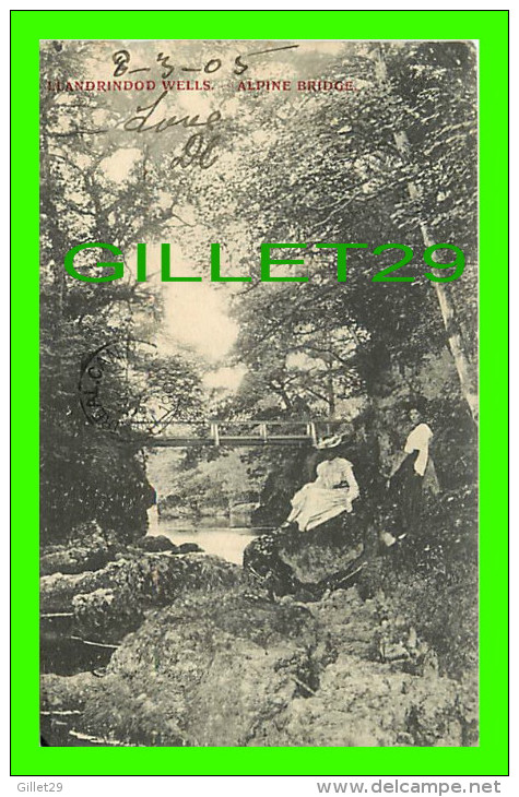 RADNORSHIRE, PAYS DE GALLES - WHALES - LLANDRINDOD WELLS, ALPINE BRIDGE - ANIMATED - TRAVEL  1905 - E. & S. ART PUB. - - Radnorshire