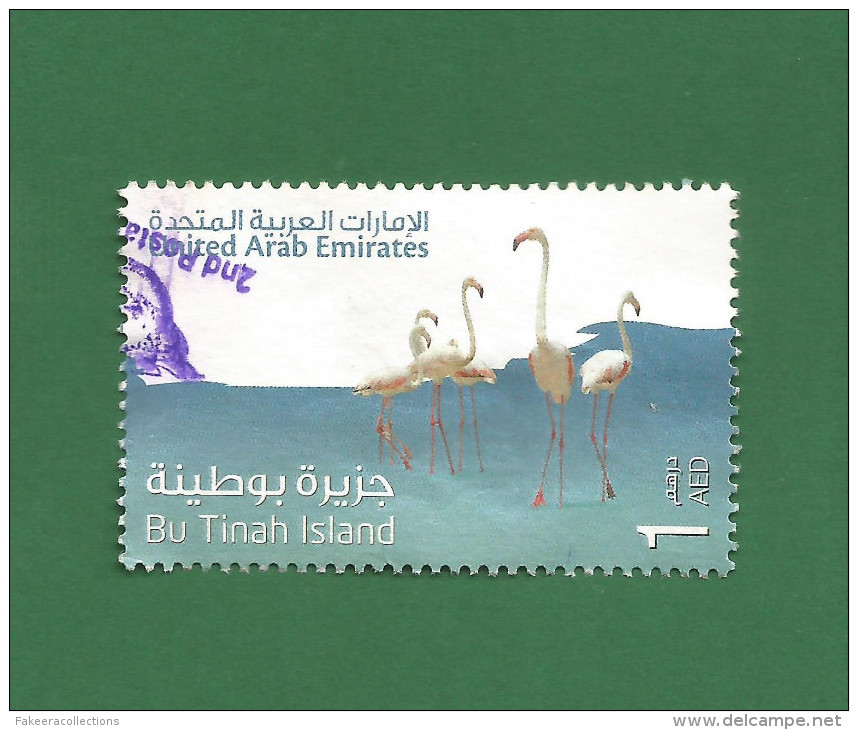 UAE ARABI / EMIRATES ARABES / VAE 2011 Greater Flamingo Of BU TINAH ISLAND Used Stamp As Scan Phoenicopterus Roseus Bird - Flamants