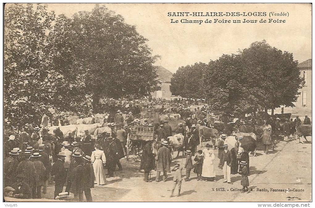 85 - SAINT  HILAIRE  DES  LOGES -  Champ De Foire Un Jour De Foire ( Super Animation , Bétail ) - Saint Hilaire Des Loges