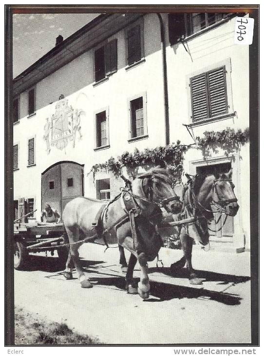 GRÖSSE 10x15 - NEUNKIRCH KLETTGAU - ATTELAGE - TB - Neunkirch