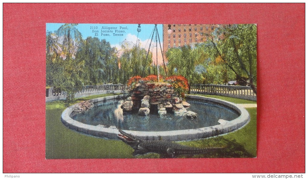 TX - Texas> El Paso  Alligator  Pool  San Jacinto Plaza  Ref 1906 - El Paso