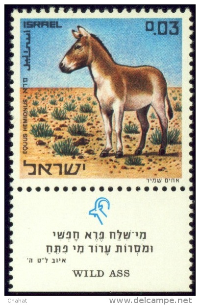 WILD LIFE-DONKEYS-WILD ASS-ISRAEL WITH TAB-MNH-SCARCE-B8-50 - Anes