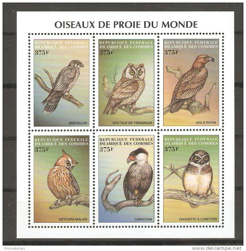 Comores (1999) Yv. 873/78 / Fauna - Birds - Oiseaux - Vogel - Owl - Eulenvögel