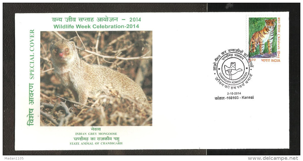 INDIA, 2014, SPECIAL COVER,  Indian Grey Mongoose, State Animal Of Chandigarh, Kansal  Cancelled - Lettres & Documents