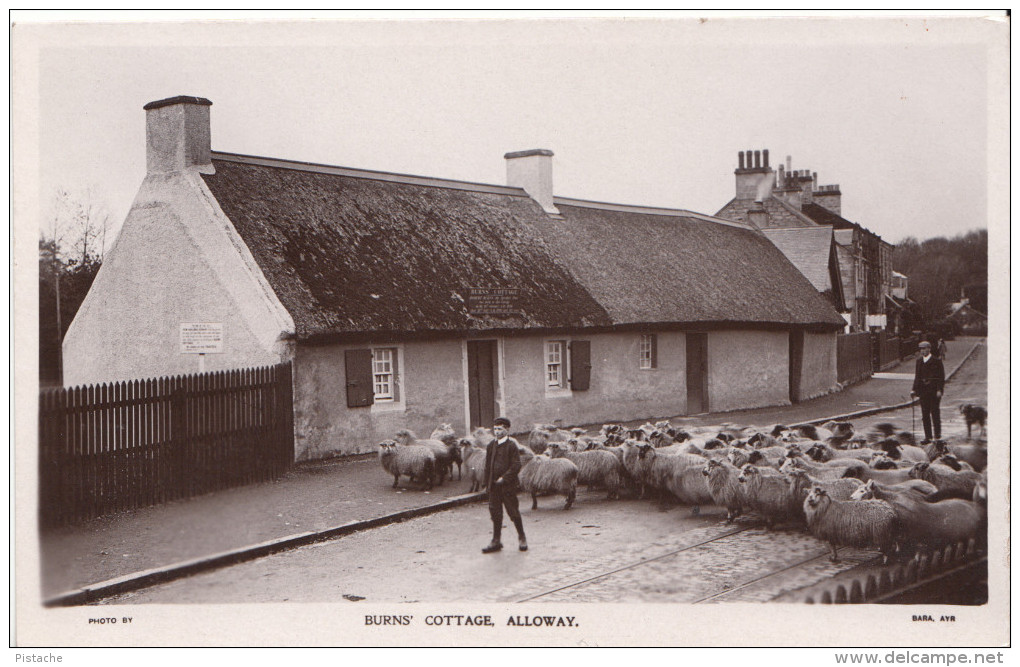 Original Real Photo - Alloway South Ayrshire Scotland - Burns' Cottage - Sheep - Animated - VG Condition - 2 Scans - Ayrshire