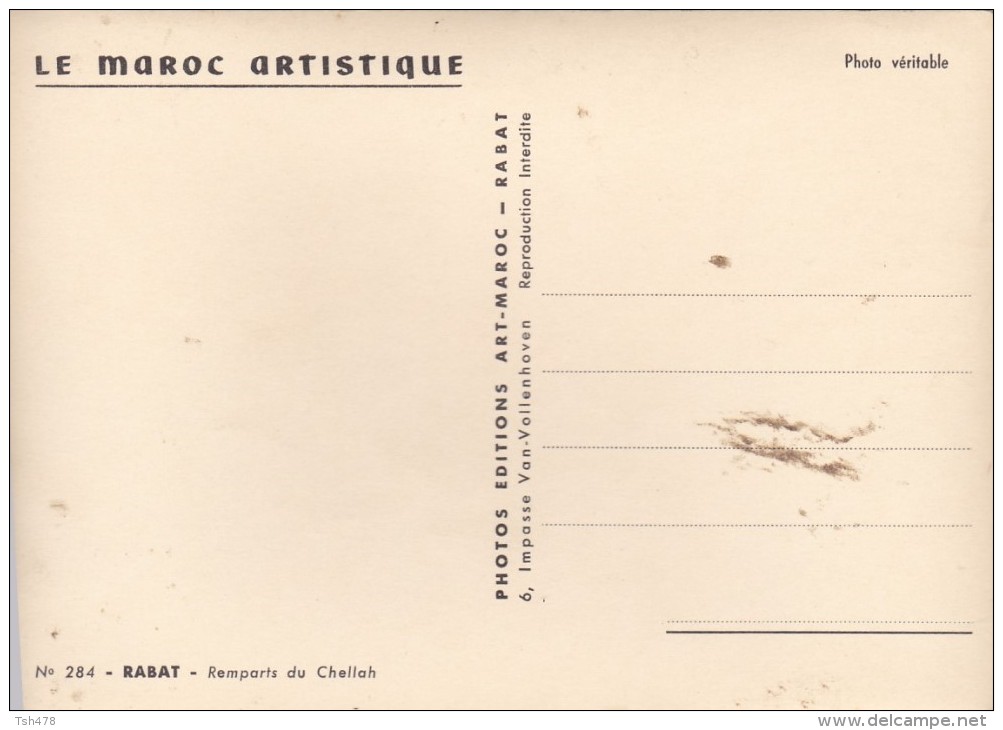 Le Maroc Artistique---RABAT--Remparts Du Chellah---voir 2 Scans - Rabat