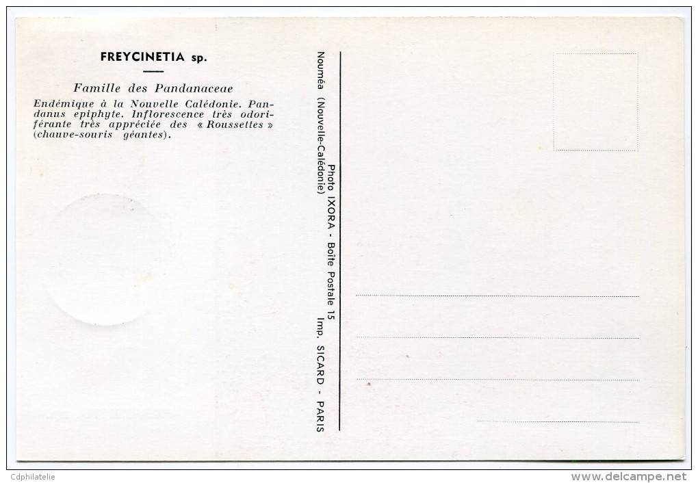 NOUVELLE-CALEDONIE CARTE- MAXIMUM DU N°314  1F FREYCINETTIA  OBLITERATION 1er JOUR NOUMEA 22 OCT. 64 - Cartoline Maximum