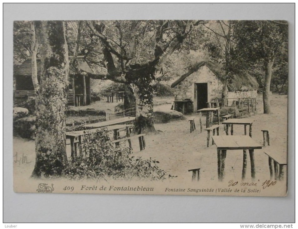 CPA 77 Forêt De FONTAINEBLEAU Fontaine Sanguinède Vallée De La Solle 1910 - Fontainebleau