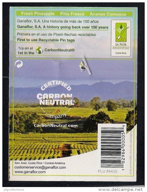 # PINEAPPLE RAIN FOREST GOLD Fruit Tag Balise Etiqueta Anhanger Ananas Pina Costa Rica Tucano Tukan Tukaan Tocan - Fruits & Vegetables