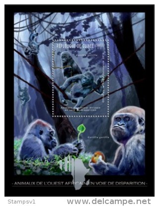 Guinea. 2012 Gorilla. (229b) - Gorillas