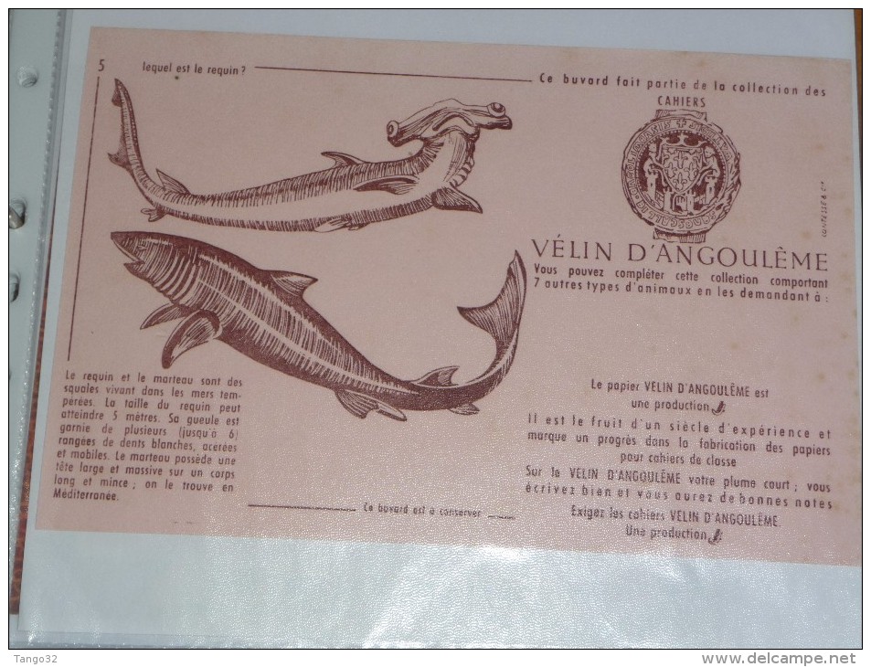 BUVARD Publicitaire Cahiers Velin D´ANGOULEME Rose N°5 Le Requin - Papeterie