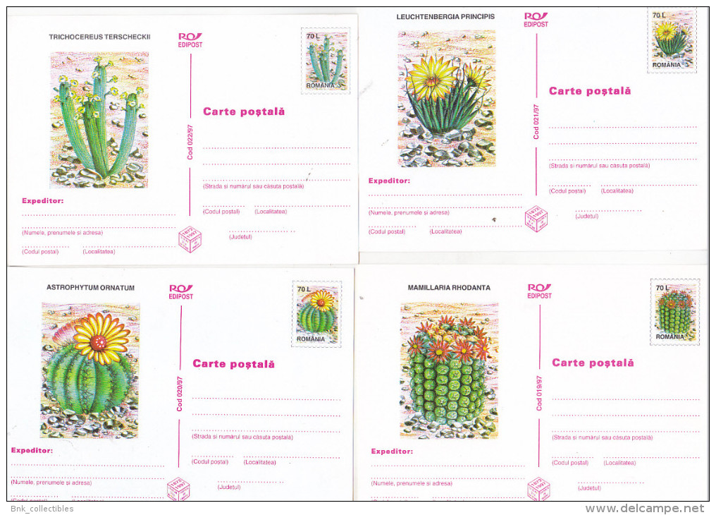 Romania 1997 Uncirculated Set Of 6 Postcards  -  Cactusses - Cactus
