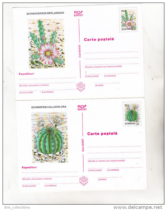 Romania 1997 Uncirculated Set Of 6 Postcards  -  Cactusses - Cactusses