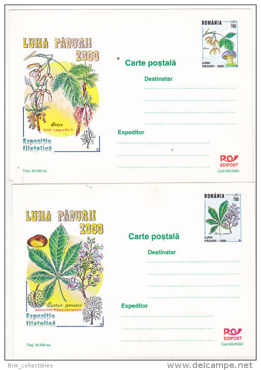 Romania 2000 Uncirculated Set Of 2 Postcards  -  Forest Month 2000 - Philatelic Exhibition - Cactussen