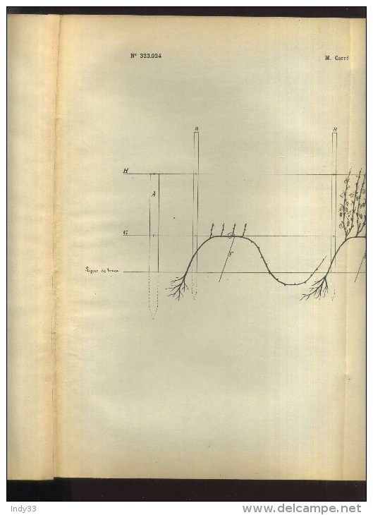 - CULTURE ET PALISSAGE DE VIGNES GREFFEES . BREVET D´INVENTION DE 1903 . - Sonstige & Ohne Zuordnung