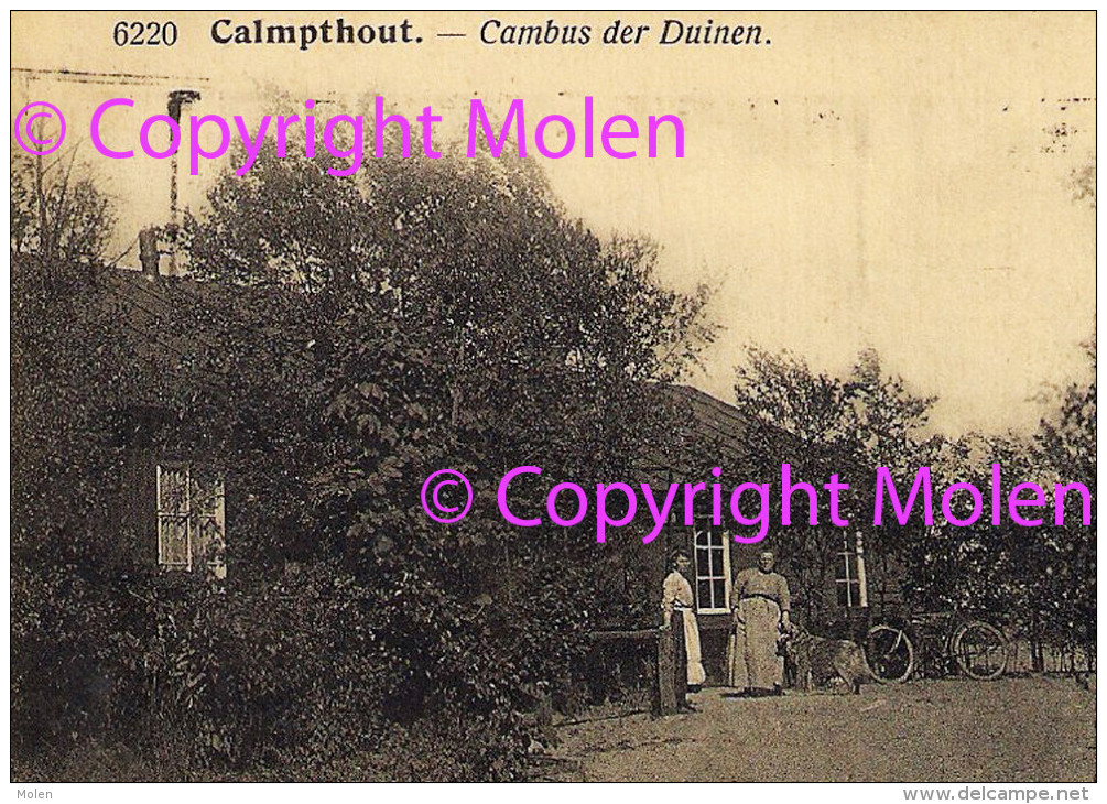 Zeldzaam CAMBUS DER DUINEN Te CALMPTHOUT = KALMTHOUT HEIDE * F Hoelen Photo Cappellen * Kleine Animatie 3899 - Kalmthout