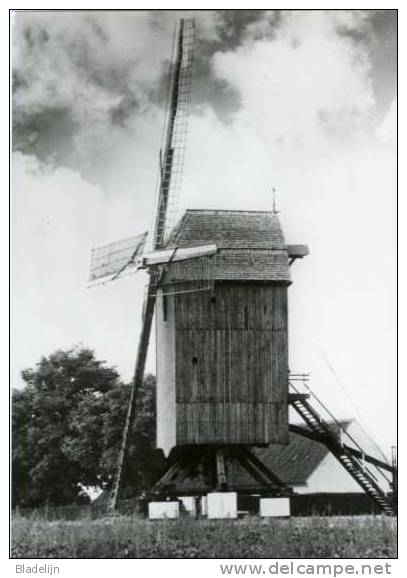 HUISE Bij Zingem (O.Vl.) - Molen/moulin - De Huisekoutermolen In 1976, Overgebracht Uit Waregem. - Zingem