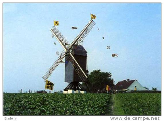 HUISE Bij Zingem (O.Vl.) - Molen/moulin - Huisekoutermolen In Feesttooi Tijdens De Inhuldiging In 1975. Zeldzame Opname! - Zingem