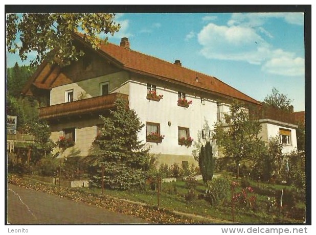 BODENMAIS Gasthof Pension HOCHZELL Bayern Regen - Bodenmais