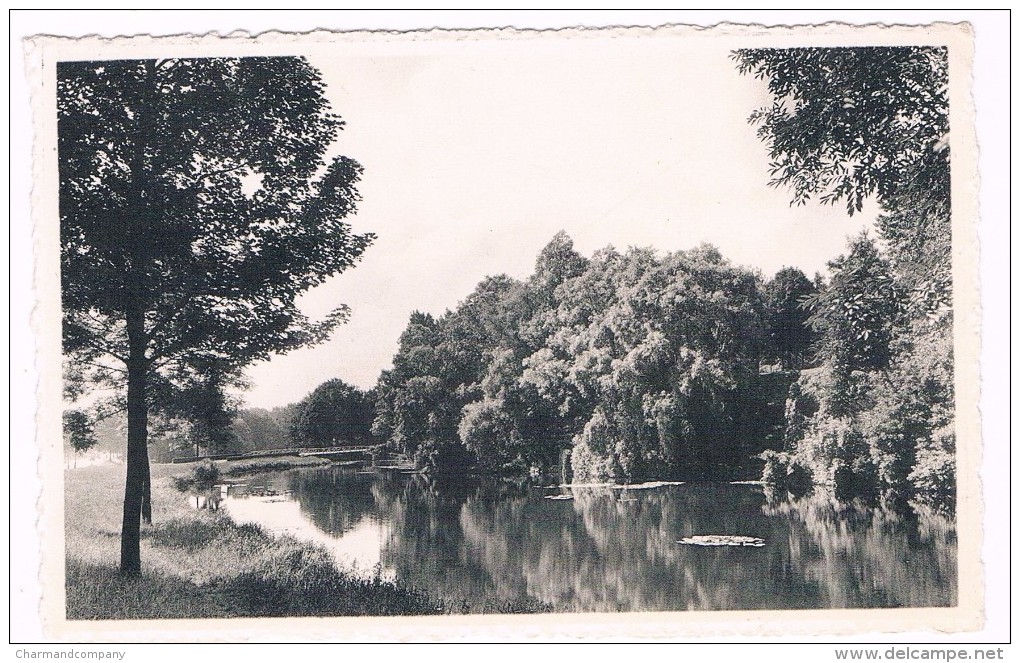 Parc De Woluwe-St-Pierre, Un Etang Du Parc Vu De L'Avenue De Tervueren , Edit. Nootens N° 7 - 2 Scans - Woluwe-St-Pierre - St-Pieters-Woluwe