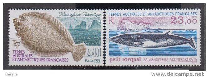 TERRES AUSTRALES     1995                N°   196 / 197         COTE       12 &euro; 75            ( Y 229 ) - Neufs