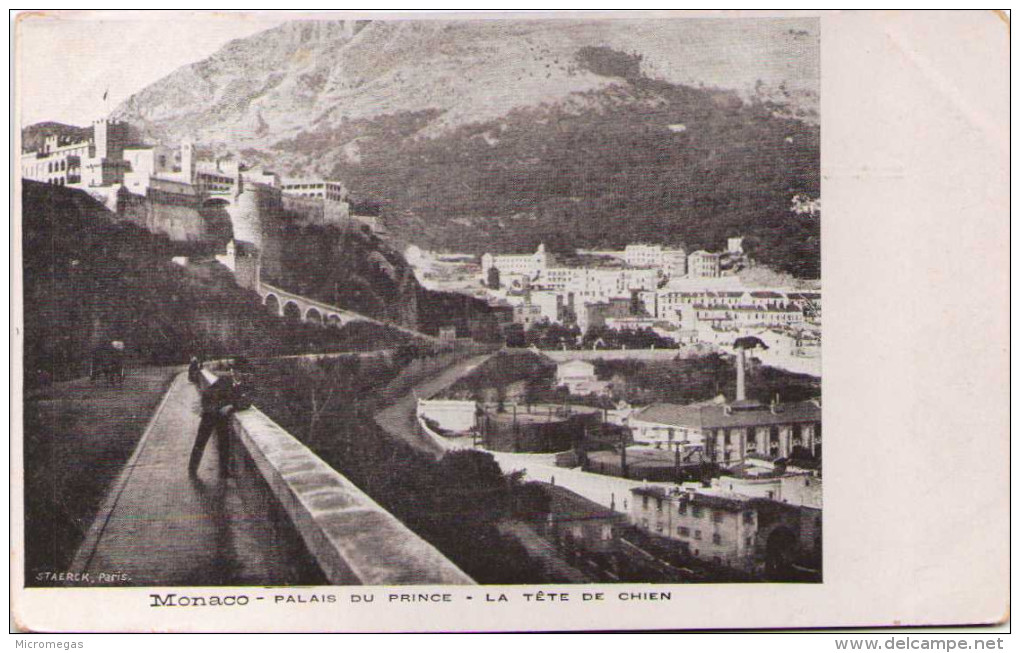 MONACO - Palais Du Prince - La Tête De Chien - Porto