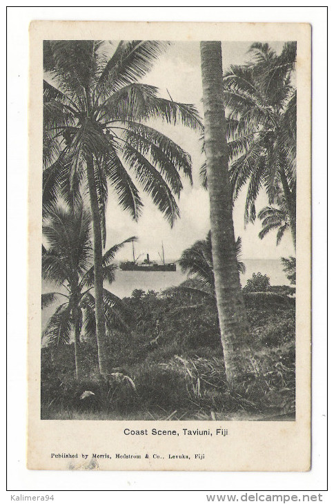 ÎLES  FIDJI  /  FIJI  /  TAVIUNI  /  COAST  SCENE  /  Published By MORRIS , HEDSTROM  & Co., LEVUKA , FIJI - Fidschi