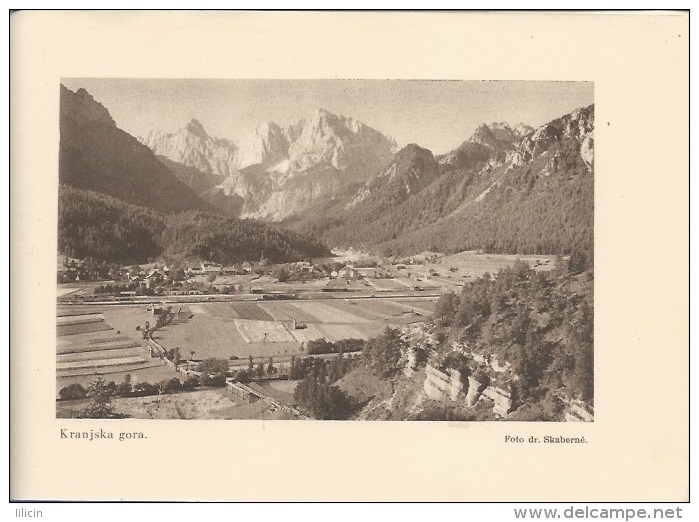 Photo-book FO000028 - Slovenija (Slovenia) 1. Pokrajinski zlet sokola Kraljevine Jugoslavije v Ljubljani 1933 - 19 PHOTO