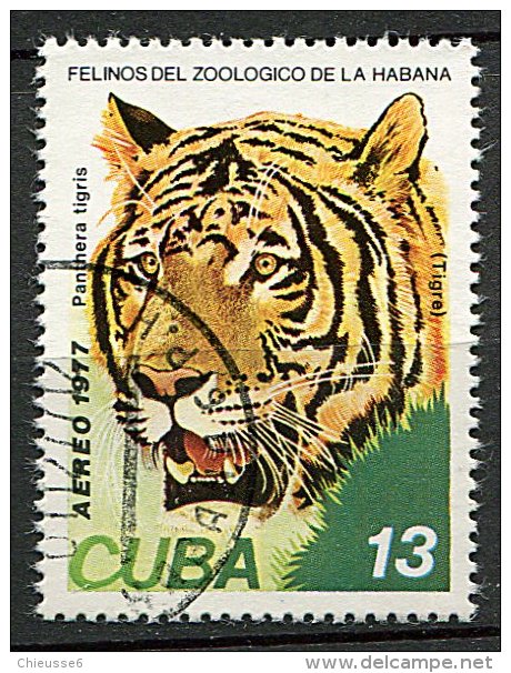 (cl 6 - P.9)  Cuba Ob PA N° 267 (ref. Michel Au Dos) - Tigre - - Poste Aérienne