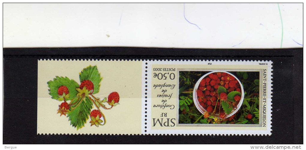 ST PIERRE ET MIQUELON    N° 807  ** LUXE - Unused Stamps