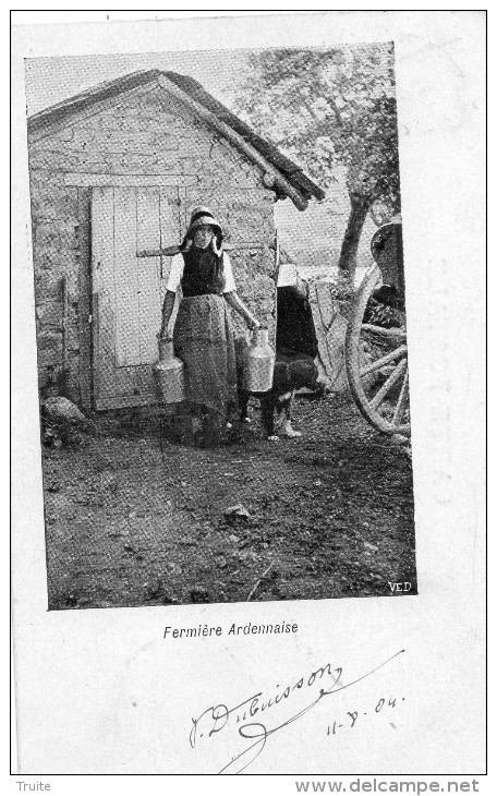 SAINT-GHISLAIN ET ENVIRONS FERMIERE ARDENNAISE AVEC SES POTS DE LAIS ET SON CHIEN CARTE PRECURSEUR - Saint-Ghislain