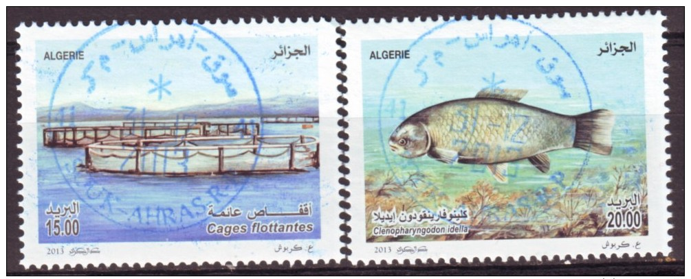 Algérie - 2013  Timbres Avec Oblitérations Rondes De Qualité. ( Poisson D´élevage). - Vissen