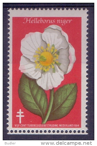 NEDERLAND :1964: Vignette/Cinderella – MNH : BIENFAISANCE,CHARITY,HEALTH,T.B.C., FLORA,HELLEBORUS NIGER,FLOWER, - Vignetten (Erinnophilie)