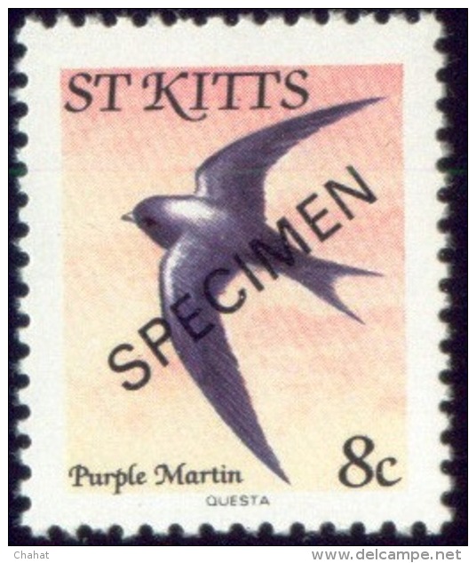 BIRDS-PURPLE MARTIN-SPECIMEN-St KITTS-MNH-SCARCE-B8-54 - Specht- & Bartvögel