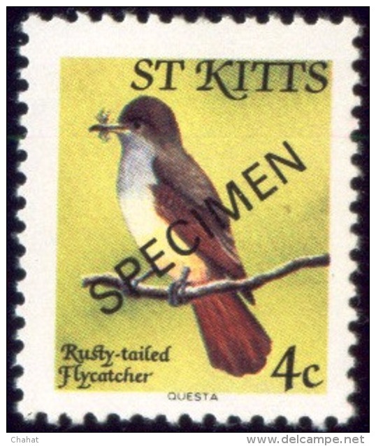 BIRDS-RUBY TAILED FLYCATCHER-SPECIMEN-St KITTS-MNH-SCARCE-B8-54 - Pics & Grimpeurs