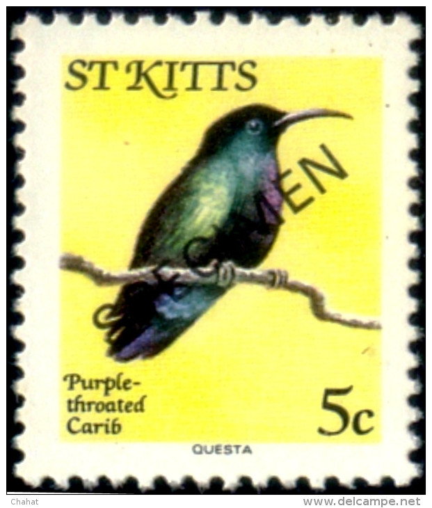BIRDS-PURPLE THROATED CARIB-VARIETY-SPECIMEN-St KITTS-MNH-SCARCE-B8-54 - Colibris