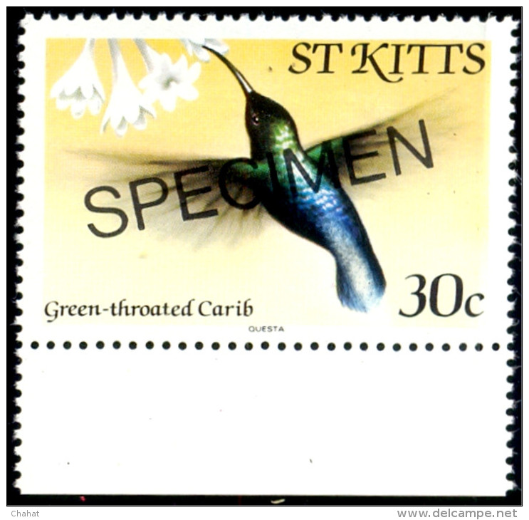 BIRDS-GREEN THROATED CARIB-VARIETY-SPECIMEN-St KITTS-MNH-SCARCE-B8-54 - Kolibries