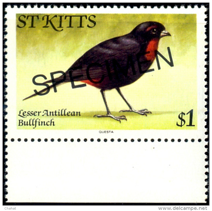 BIRDS-BANANAQUIT-SPECIMEN-St KITTS-MNH-SCARCE-B8-54 - Piciformes (pájaros Carpinteros)