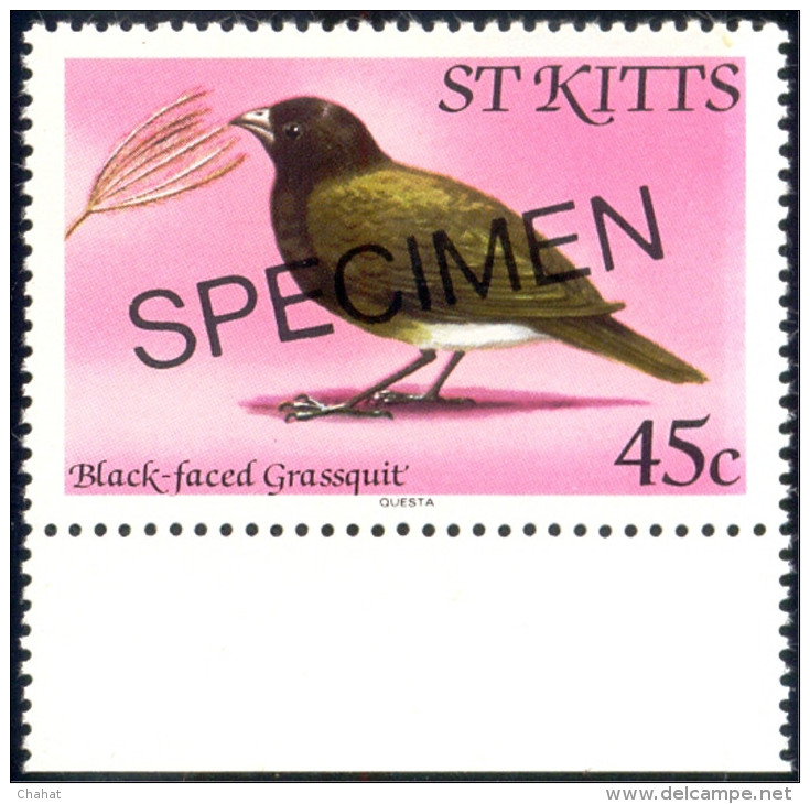 BIRDS-BLACK FACED GRASSQUIT-SPECIMEN-St KITTS-MNH-SCARCE-B8-54 - Specht- & Bartvögel