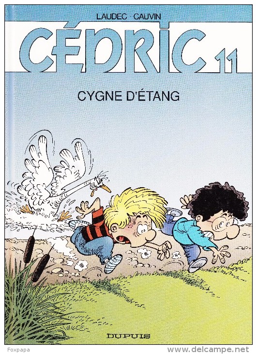 N° 11 - Cygne D'etang - Cédric